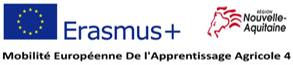 Erasmus+ et Nouvelle Aquitaine