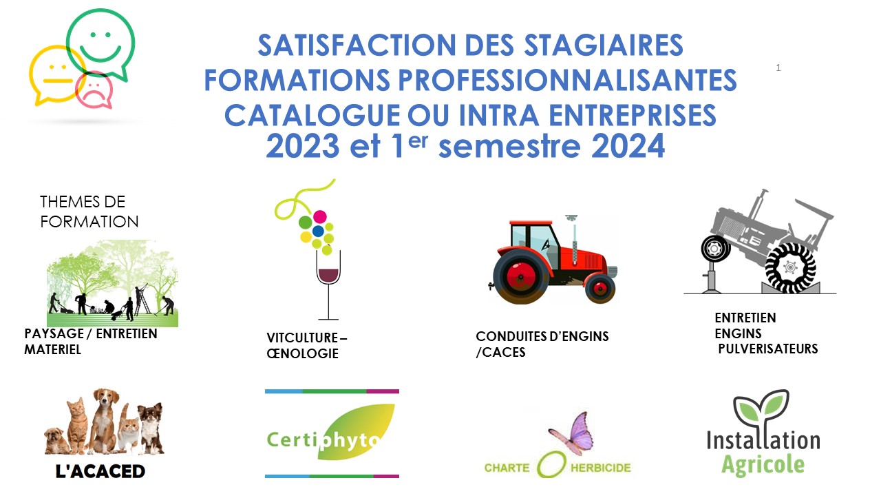 Le cfppa en chiffres Diapositive1